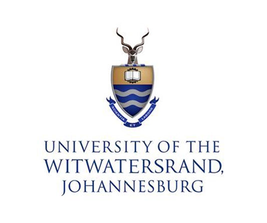Wits logo