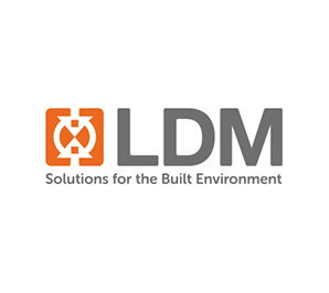 LDM Consulting Group